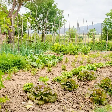 San Francesco Cortona