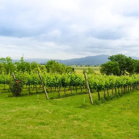 San Francesco Farm stay