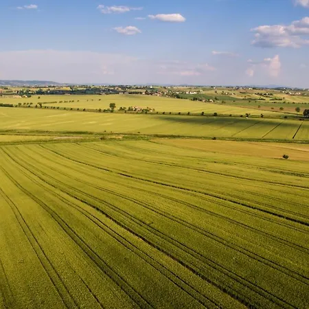 San Francesco Lantgård Cortona