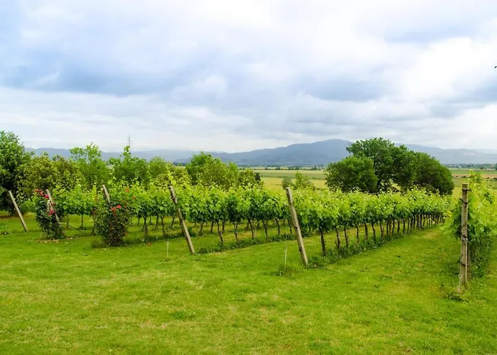 San Francesco Farmház