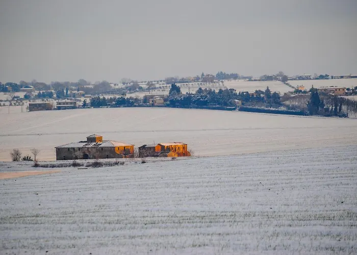Farma San Francesco Cortona